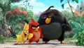 The Angry Birds Movie Wallpaper 1