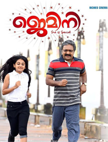 Gemini review