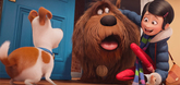 Trailer - 03 - The Secret Life of Pets Video