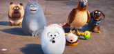 Trailer - 02 - The Secret Life of Pets Video