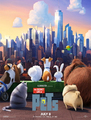 Click to know more about The Secret Life of Pets