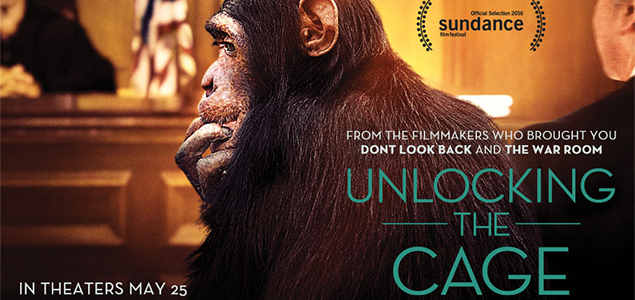 Unlocking the Cage English Movie