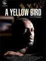 Click to know more about A Yellow Bird