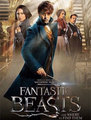 Click to know more about Fantastic Beasts And Where To Find Them