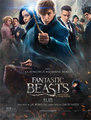 Click to know more about Fantastic Beasts And Where To Find Them