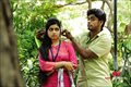 Palasaali Photo 4