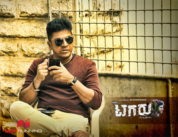 Tagaru Palya: ಟಗರು ಪಲ್ಯ ಚಿತ್ರದ ರಿಯಲ್‌ ಹೀರೋ 7 ಸ್ಟಾರ್ ಸುಲ್ತಾನ್‌ ಟಗರನ್ನು  ಬಕ್ರೀದ್‌ಗೆ ಕುರ್ಬಾನಿ ಕೊಡದಿರಲು ನಿರ್ಧರಿಸಿದ ಮಾಲೀಕ-sandalwood news owner decided  to not give 7 star ...