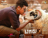 Tagaru Photo 1