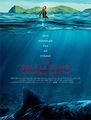 Click to know more about The Shallows