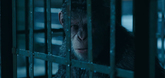 Official Trailer - War for the Planet of the Apes Video