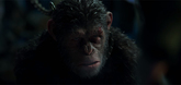 Promo - War for the Planet of the Apes Video