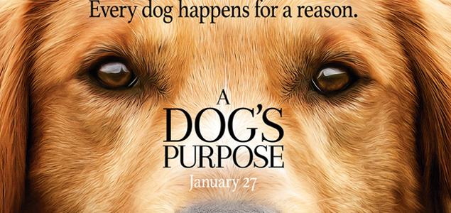 A Dogs Purpose English Movie