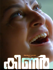 Kinar review