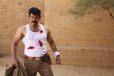 Saamy 2 Photo 3