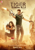 Tiger Zinda Hai Photo 1