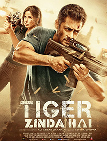 Tiger Zinda Hai review