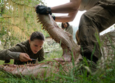 Annihilation Photo 2