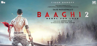 Baaghi 2 Review