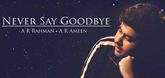 Never Say Goodbye - Dil Bechara