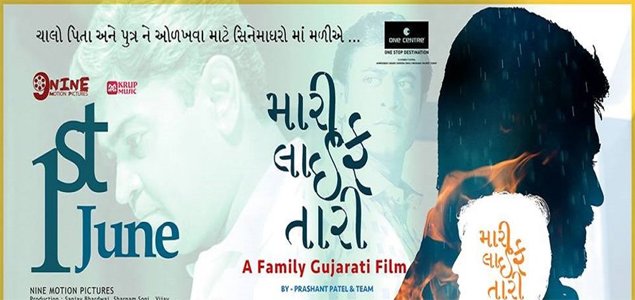 Mari Life Tari Gujarathi  Movie