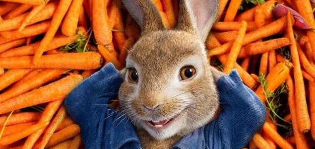 Peter Rabbit English Movie