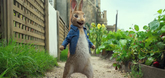 Trailer - Peter Rabbit Video