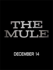 Click to know more about The Mule