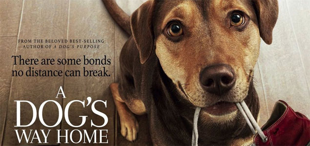 A Dog`s Way Home English Movie