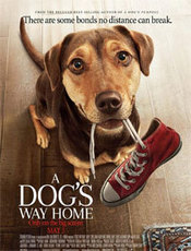 Click to know more about A Dog`s Way Home