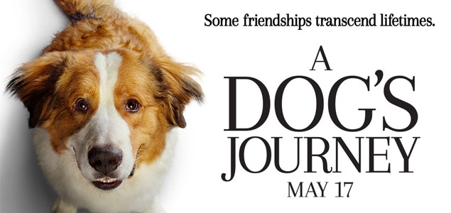 A Dogs Journey English Movie