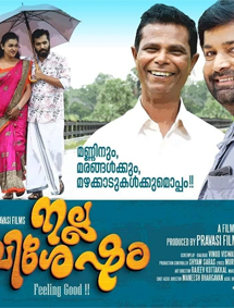 Nalla Vishesham review