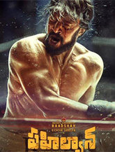 Click to know more about Pailwaan