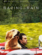 Click to know more about The Art of Racing in the Rain