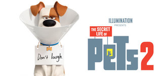 The Secret Life of Pets 2