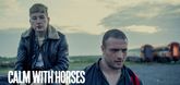 Trailer - Calm with Horses Video