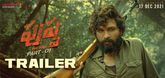 Trailer - Pushpa: The Rise - Part 1 Video