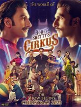 Click to know more about Cirkus