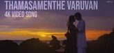 Thamasamenthe Varuvan Song - Neelavelicham