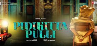 Teaser Pidikittapulli