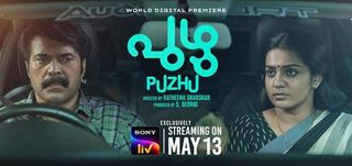 Puzhu