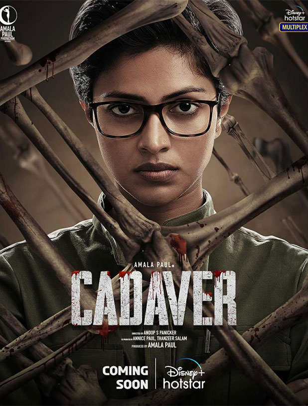 Cadaver review