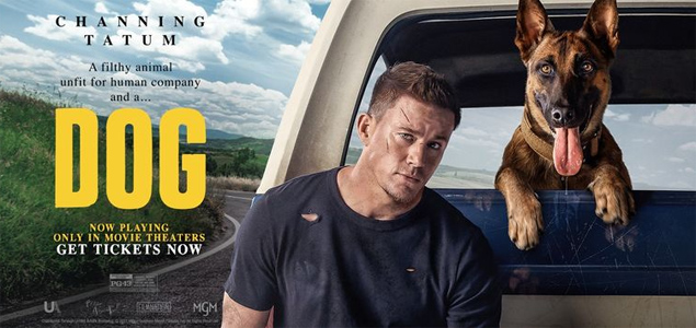 Dog English Movie