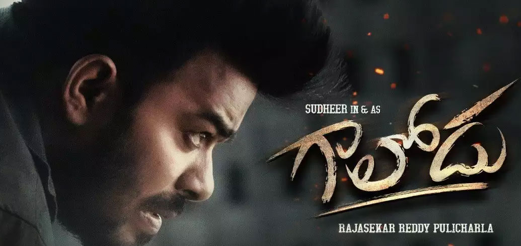 Gaalodu Telugu Movie