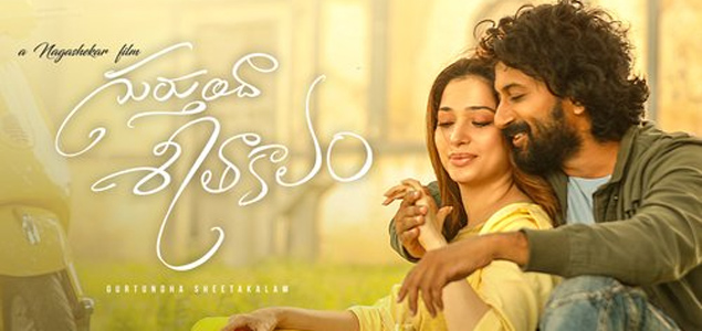 Gurtunda Seetakalam Telugu Movie