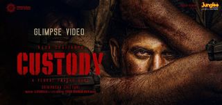 Glimpse Custody