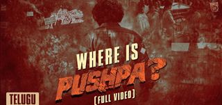 Where is Pushpa?  Pushpa 2 The Rule 