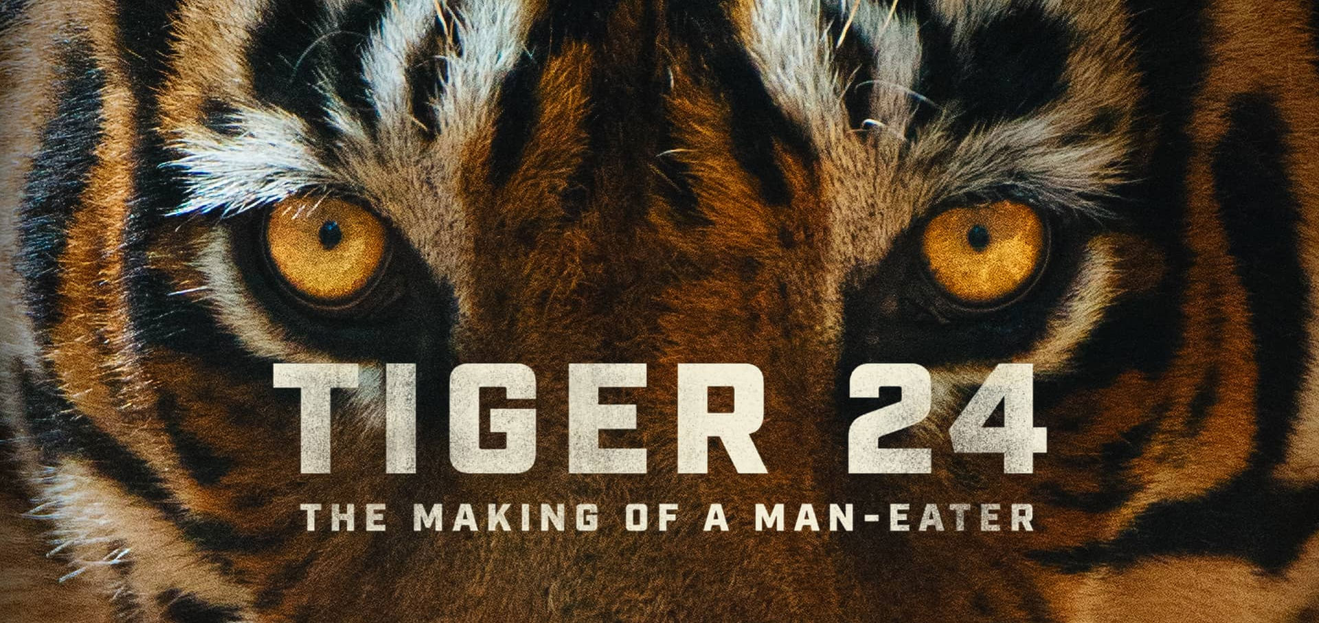 Tiger 24 English Movie