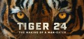 Trailer - Tiger 24 Video