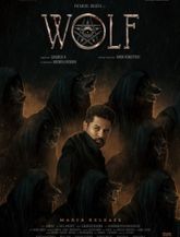 Click to know more about Wolf 