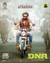 DNA Photo 1